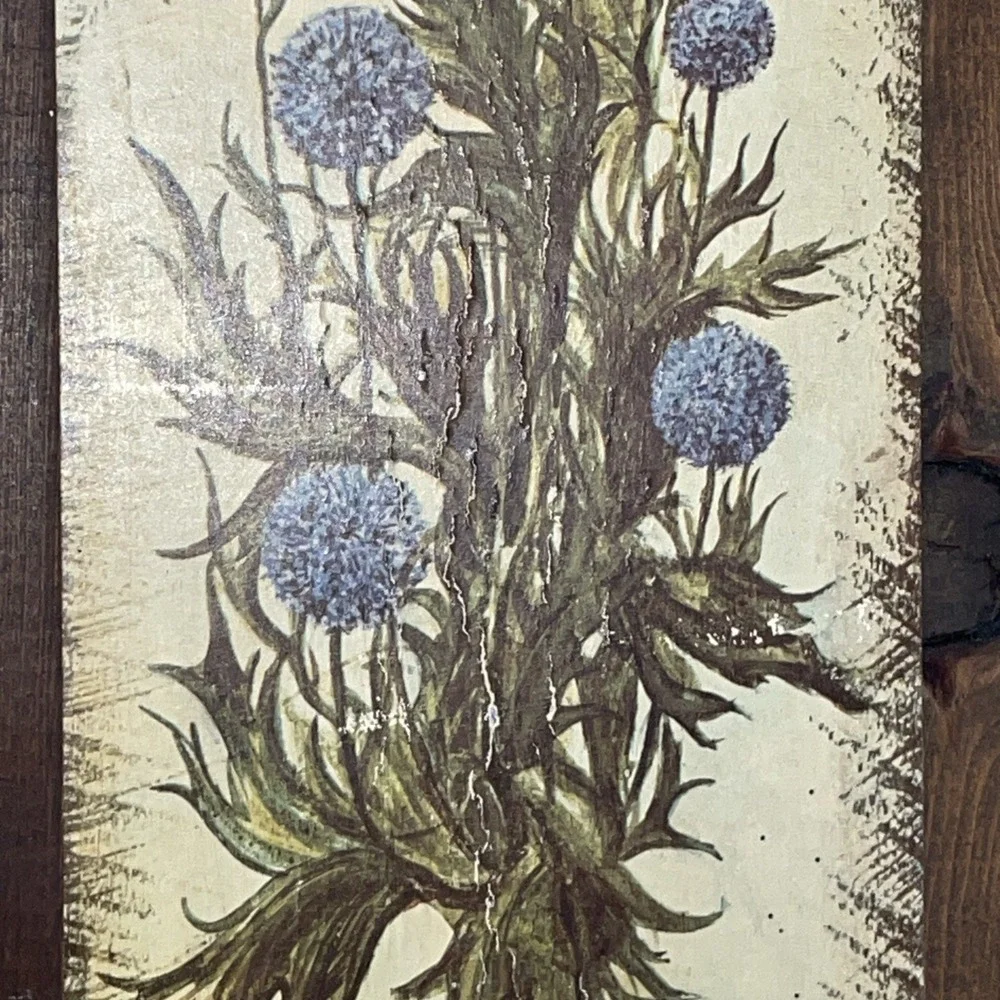 Blue Globe Thistle Echinops bannaticus | Vintage Botanical Decoupage Wood Plaque